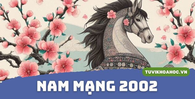 tử vi tuổi nhâm ngọ năm 2025